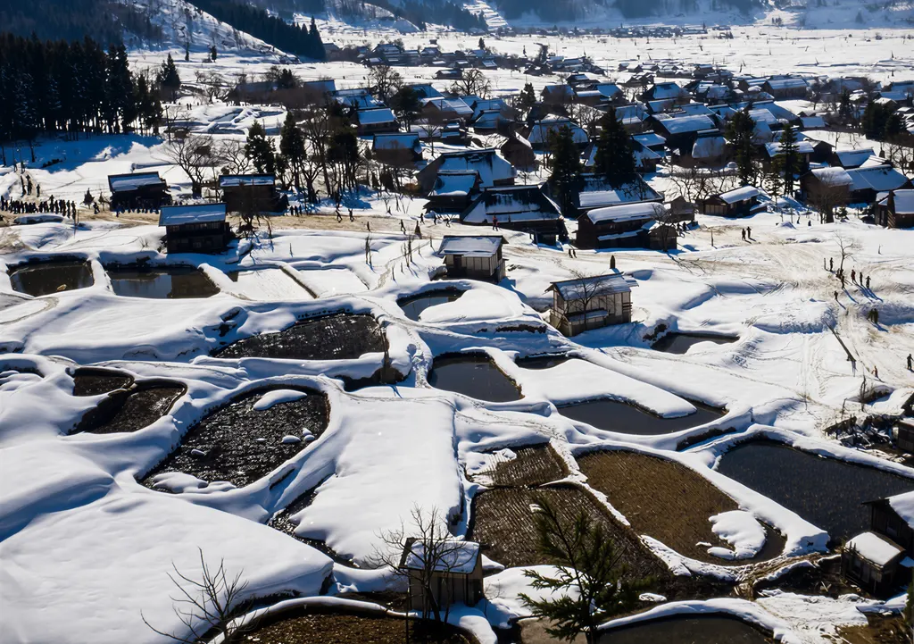 「早春の山麓 （長野県野沢にて）」 河合義雄&nbsp;-&nbsp;AI加工 カラー化