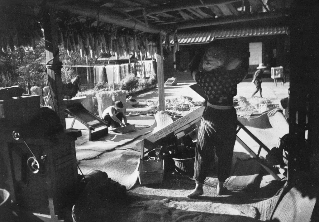 「脱穀 （千葉県臼井町にて）」 青木忠久&nbsp;-&nbsp;アサヒカメラ 1955年3月号より