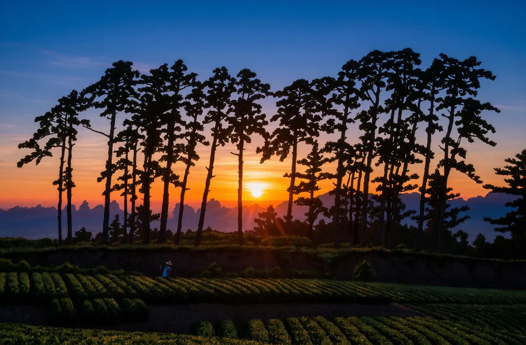 「東京二十景 池上市の倉 （夕陽）」 川瀬巴水 （1928年）&nbsp;-&nbsp;AI加工 写真風