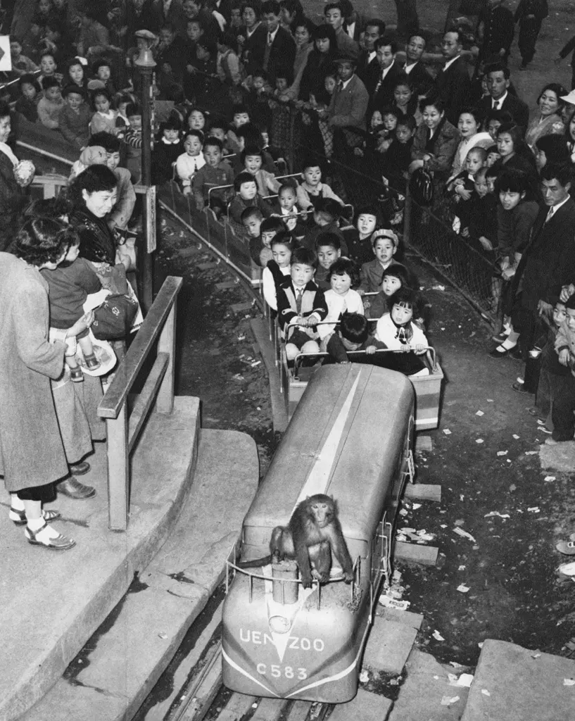 「ご存じおサル列車」 喜本恒三&nbsp;-&nbsp;カメラ毎日 1954年6月号より