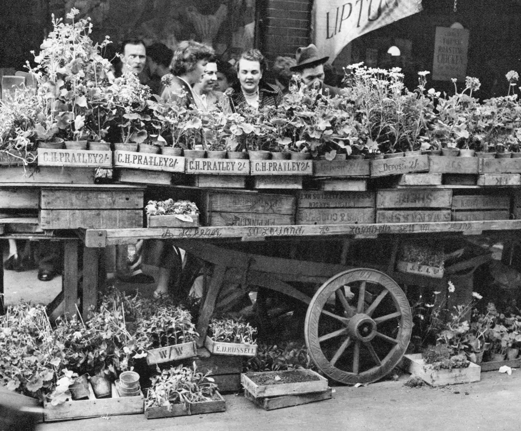 「ロンドンの花市」 石井幸之助&nbsp;-&nbsp;カメラ毎日 1954年6月号より