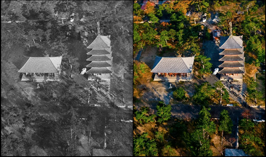 「興福寺」 中村吉之介