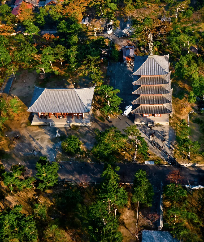 「興福寺」 中村吉之介&nbsp;-&nbsp;AI加工 カラー化