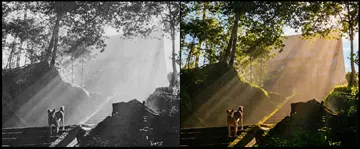 Previous Artworks