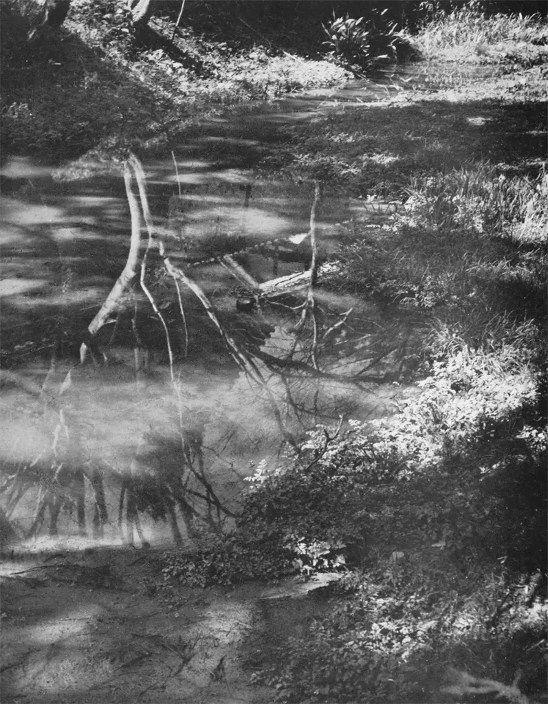 「倒影」 小林鳴村&nbsp;-&nbsp;アサヒカメラ 1937年9月号より