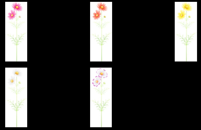 2輪のコスモスの花のイラストとベクター